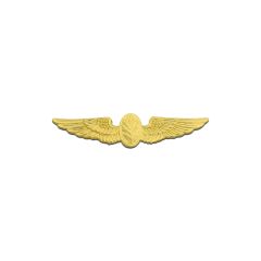 Flight Nurse Gold Plated Navy Badge