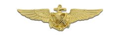 Astronaut Gold Plated Mini Navy Badge
