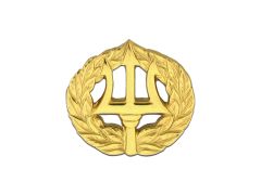 Navy Badge, Command Shore, Gold Plated, Mini