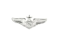 Air Force Badge, Air Battle Manager Senior, Brite